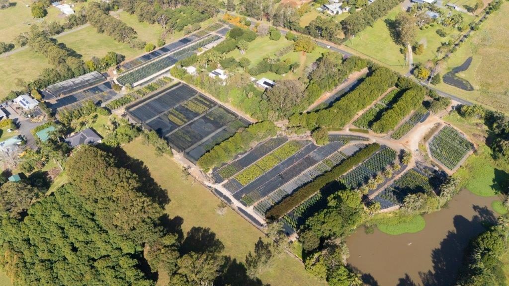 Aerial overview of the Cape Nursery property showing shadehouses, growing rows, and the surrounding rural NSW landscape