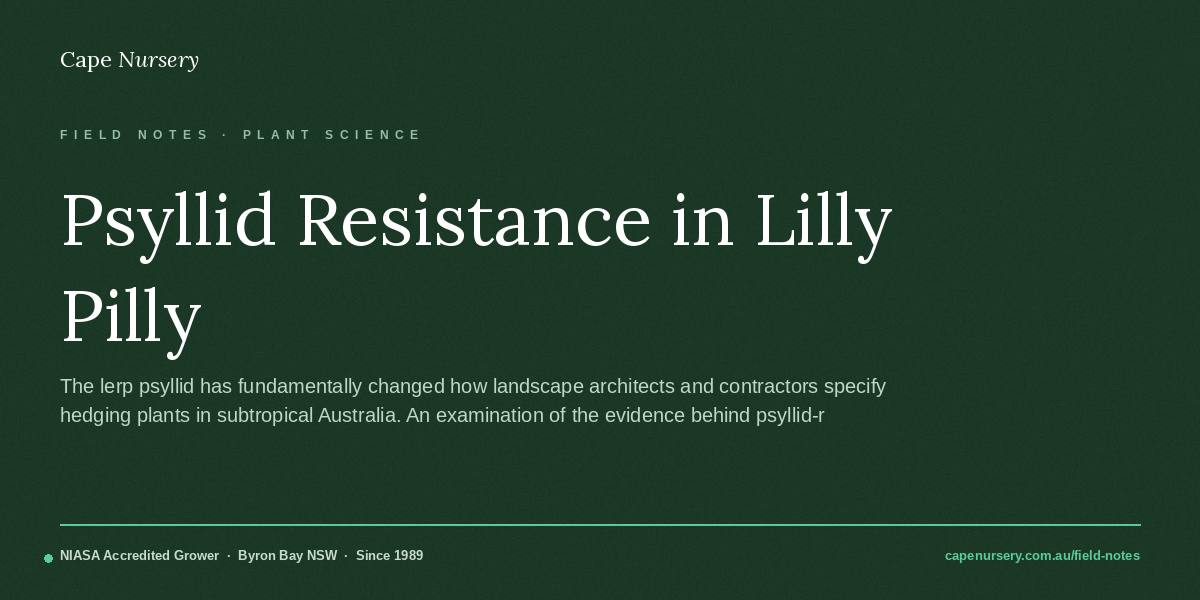 Psyllid Resistance in Lilly Pilly Selections: What the Evidence Shows